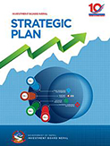 cover ofIBN Strategic Plan